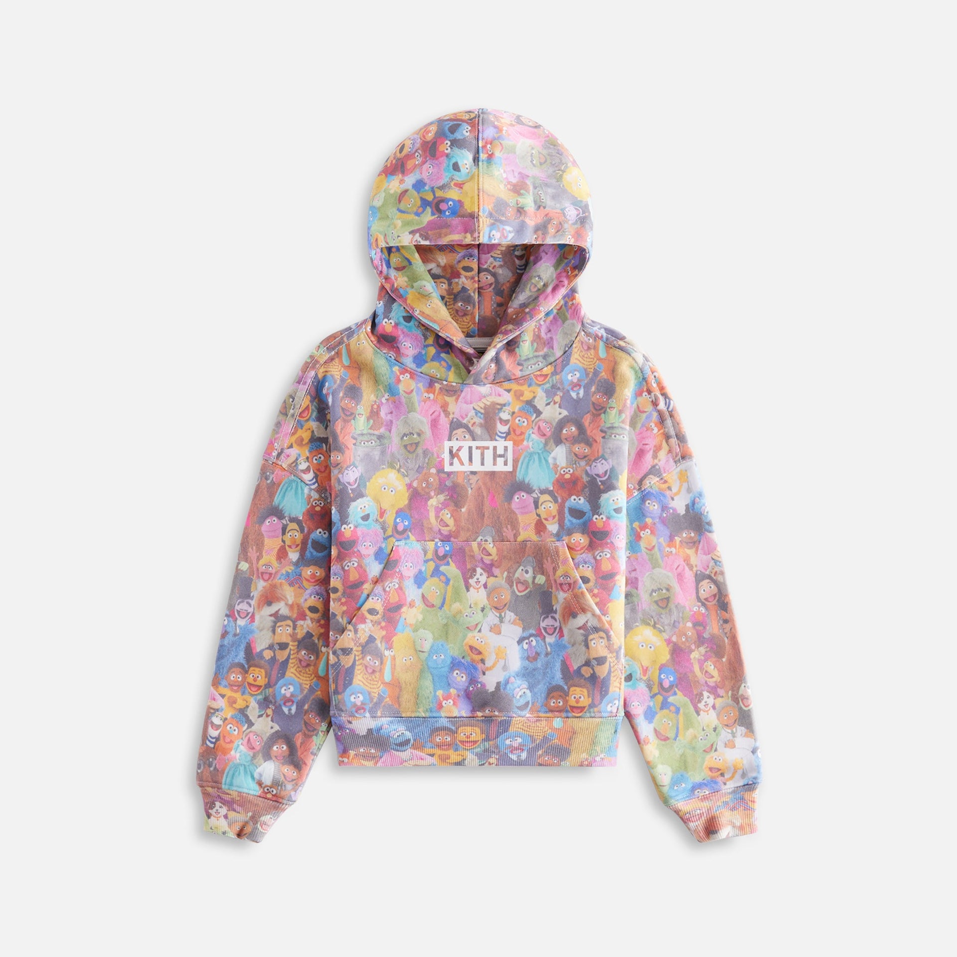 Kith Kids for Sesame Street Family Nelson Hoodie - Multi