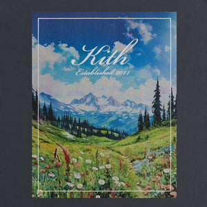 Kith Landscape Vintage Tee - Torpedo