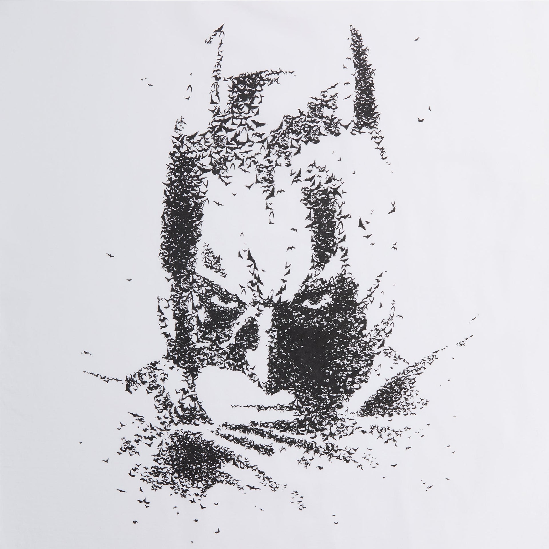 Batman | Kith Bats Vintage Tee - White