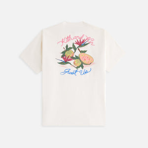 Kith Women Vintage Guava Tee - Nano