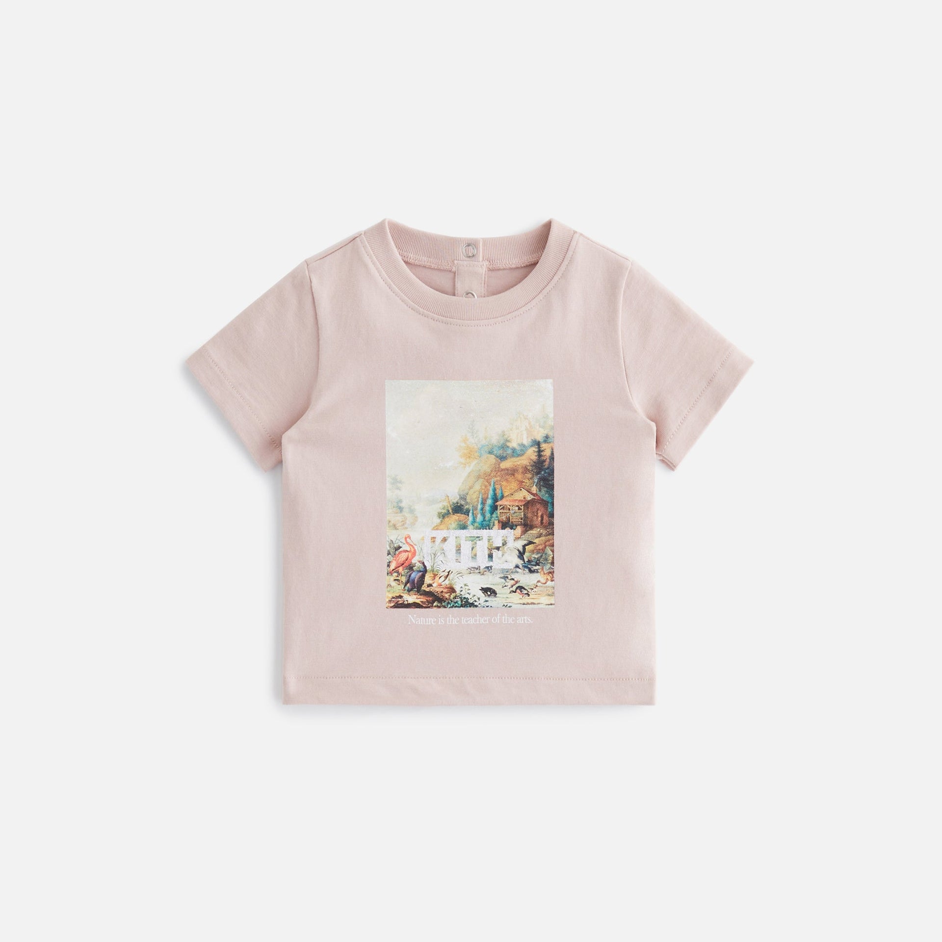 Kith Kids Baby Art Of Nature Tee - Morganite