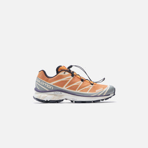 Salomon XT-6 - Apricot Buff / Frost Gray / Velvet Morning