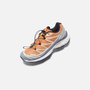 Salomon XT-6 - Apricot Buff / Frost Gray / Velvet Morning